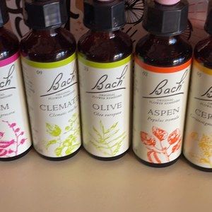 Meet your Posher, Janean